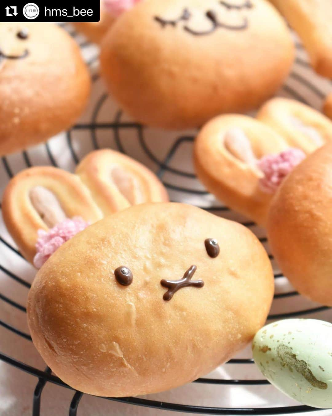 クスパさんのインスタグラム写真 - (クスパInstagram)「うさぎのパン、可愛くて食べるのがもったいないですね😭桜餡とクリームチーズの組み合わせ気になります！ #Repost @hms_bee with @use.repost ・・・ うさくらアンパン   お耳に入った さくら餡とクリームチーズの フィリングが美味しい〜パンです😋  酒粕が入った生地なんですぅ〜😊 ほんのり酒粕風味がついて香りも👍  卵をパン生地に塗らなくてもいい色に焼けています。 何を塗ったのでしょう〜 わかった方はコメントしてね😉  ＊＊＊＊＊＊＊＊＊＊＊＊＊＊ お問い合わせは "hmsbee"のLINE公式アカウントへ  LINE公式アカウント🆔@aas4325i お気軽に登録・お問い合わせください🍀 ＊＊＊＊＊＊＊＊＊＊  ・ ・ #beeパン #beeキャラパン #クスパ #クスパ公認インスタアンバサダー @cookingschoolpark  #東京 #町田 #パン教室 #自宅教室  #町田パン教室 #シニアおうちパンマスター  #おうちパン  #てごねパン  #パン作り  #クスパ登録教室 #hms_bee  #はまくまパンの贈り物 #キャラパン #デコパン #はまくまパン #はまくま　 #パン好きな人と繋がりたい #私の美味しい写真 #ちぎりパン作家 #くまパン  #コッタ #cotta @cotta_corecle  #cottaアンバサダー 　#beeパン教室　 ＊＊＊＊＊＊＊＊＊＊ ・」4月27日 11時03分 - cookingschoolpark