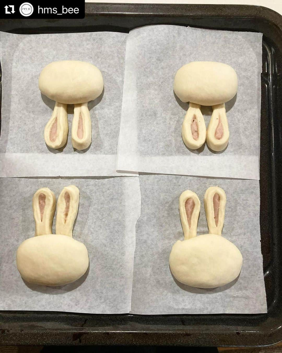 クスパさんのインスタグラム写真 - (クスパInstagram)「うさぎのパン、可愛くて食べるのがもったいないですね😭桜餡とクリームチーズの組み合わせ気になります！ #Repost @hms_bee with @use.repost ・・・ うさくらアンパン   お耳に入った さくら餡とクリームチーズの フィリングが美味しい〜パンです😋  酒粕が入った生地なんですぅ〜😊 ほんのり酒粕風味がついて香りも👍  卵をパン生地に塗らなくてもいい色に焼けています。 何を塗ったのでしょう〜 わかった方はコメントしてね😉  ＊＊＊＊＊＊＊＊＊＊＊＊＊＊ お問い合わせは "hmsbee"のLINE公式アカウントへ  LINE公式アカウント🆔@aas4325i お気軽に登録・お問い合わせください🍀 ＊＊＊＊＊＊＊＊＊＊  ・ ・ #beeパン #beeキャラパン #クスパ #クスパ公認インスタアンバサダー @cookingschoolpark  #東京 #町田 #パン教室 #自宅教室  #町田パン教室 #シニアおうちパンマスター  #おうちパン  #てごねパン  #パン作り  #クスパ登録教室 #hms_bee  #はまくまパンの贈り物 #キャラパン #デコパン #はまくまパン #はまくま　 #パン好きな人と繋がりたい #私の美味しい写真 #ちぎりパン作家 #くまパン  #コッタ #cotta @cotta_corecle  #cottaアンバサダー 　#beeパン教室　 ＊＊＊＊＊＊＊＊＊＊ ・」4月27日 11時03分 - cookingschoolpark