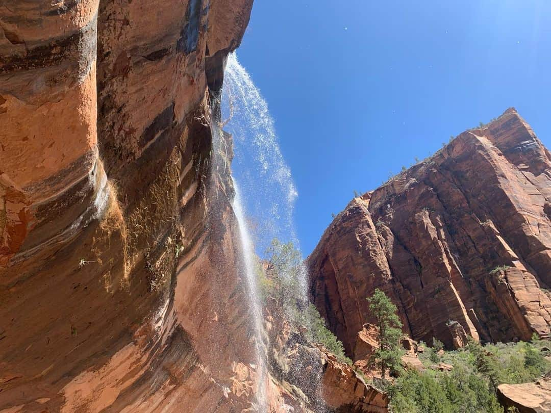 キム・カウフマンさんのインスタグラム写真 - (キム・カウフマンInstagram)「I told myself I would go to #zionnationalpark this year if I played in Utah again. It did not disappoint! It reminded me of the many great adventures @kktamulis and I used to go on and how important it is to get off the golf course and do something else sometimes. Thanks to @emmajgolf and @amelialewislpga for such a fun day!  #sanfordsports @sanford_glf @sanford_complex #zion #hiking」4月27日 11時08分 - kimkaufmangolf