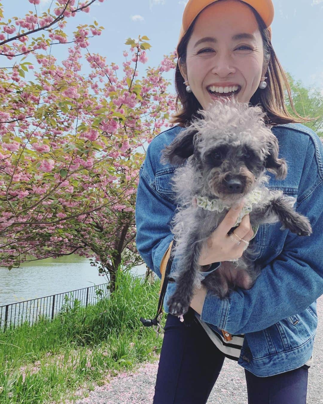 武田訓佳さんのインスタグラム写真 - (武田訓佳Instagram)「🌸💙 ・ 時差投稿🤍 ・ ・ おともだちとおでかけ👦🏻🐕‍🦺💓 ふざけるたけだと 迷惑そうなひじき。笑 ・ ・ 八重桜も今年は早かったなぁ〜 時々風が吹くたび花びらが ぶぅわ〜〜〜〜〜って舞ってて🌸 すっごくドラマチックなランチだった🍽💕 ・ ・ ・ #たけだの日常 #たけだの春 #ひじき #犬のいる暮らし #🐕‍🦺 #🐶 #いぬすたぐらむ #ミックス犬 #mix犬 #ピンプー #ミニチュアピンシャー #トイプードル #イッヌ」4月27日 13時22分 - kunika0117