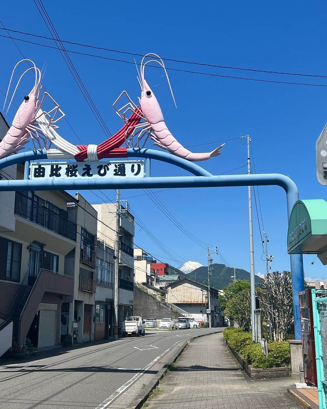 別府ともひこのインスタグラム：「静岡にお邪魔してます！絶好のロケ日和✨☀️☀️☀️富士山もはみだしてる！はみ出しは何事もいいね✨✨」