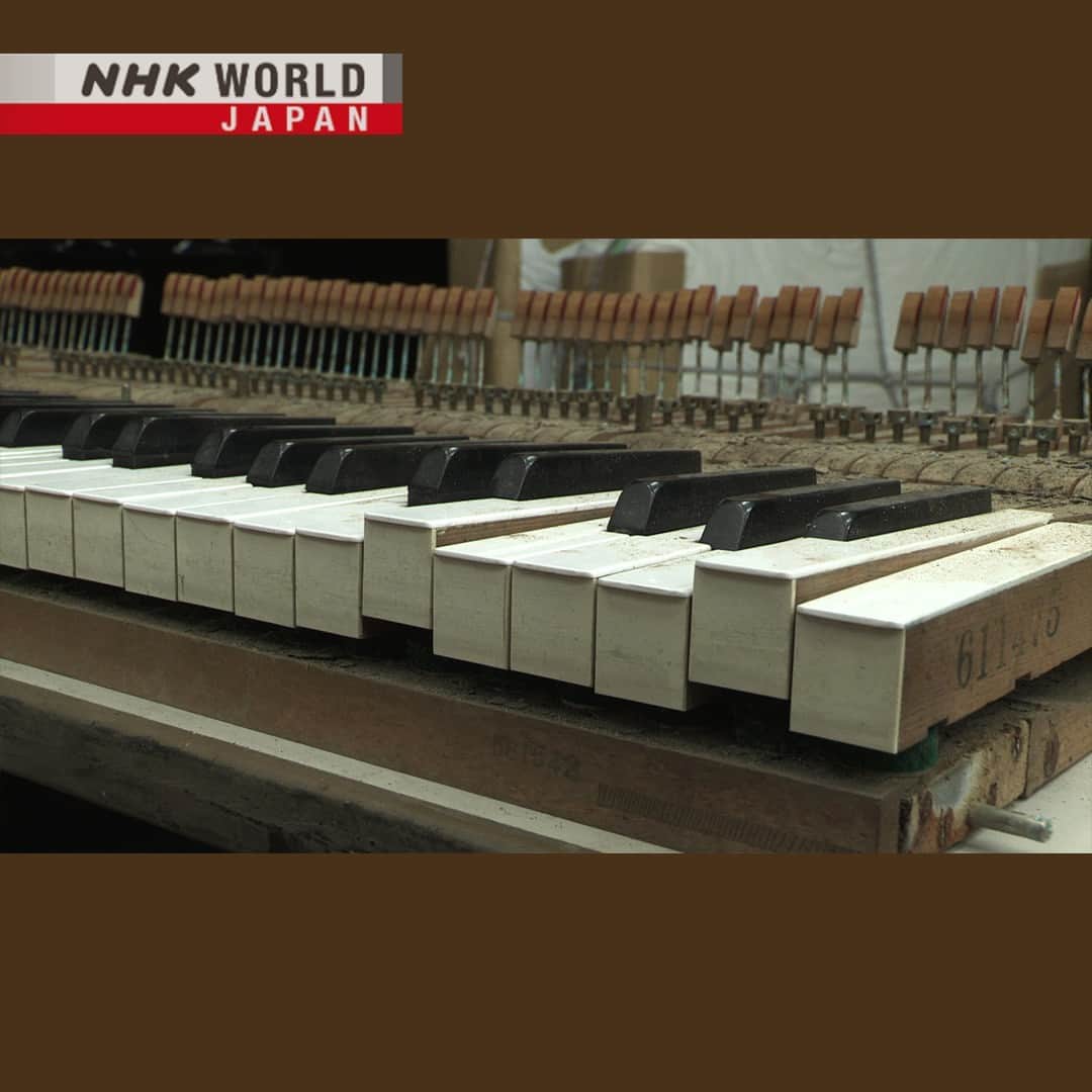 NHK「WORLD-JAPAN」さんのインスタグラム写真 - (NHK「WORLD-JAPAN」Instagram)「In the years following the 2011 Great East Japan Earthquake, renowned musician and composer Sakamoto Ryuichi transformed a tsunami-damaged school piano into an enduring piece of music and visual art. 🎹 He was a frequent visitor to the Tohoku disaster area where he was involved in repairing and replacing musical instruments in schools. He also formed an orchestra with students from affected communities.🎼  The journey of the piano overlapped with Sakamoto’s throat cancer diagnosis in 2014. In his honor this program, which first aired in 2018, will be available until June 12, 2023 . 👉 Watch｜Tsunami Piano: Ryuichi Sakamoto's Tohoku Discovery｜Free On Demand｜NHK WORLD-JAPAN website.👀 . 👉Tap in Stories/Highlights to get there.👆 . 👉Follow the link in our bio for more on the latest from Japan. . 👉If we’re on your Favorites list you won’t miss a post. . . #ryuichisakamoto #sakamotoryuichi #坂本龍一 #tsunamipiano #isyourtime #async #zure #miyagi #greateastjapanearthquake #東北ユースオーケストラ #japanmusic #japanart #installationmusic #ymo #yellowmagicorchestra #tohoku #nhkworldjapan #japan」4月28日 6時00分 - nhkworldjapan