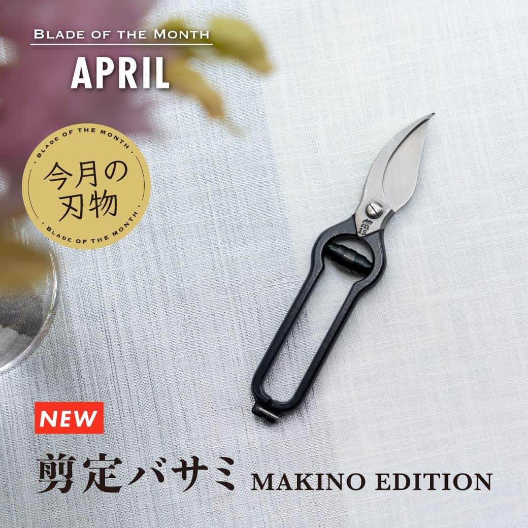 ZWILLING Japan ツヴィリングのインスタグラム：「【刃物特集 : ZWILLING 剪定バサミ Makino Edition】 ツヴィリング の刃物製品をフィーチャーしてお届けする「ナイフ・オブ・ザ・マンス」。今回は、植物分類学者・牧野富太郎 博士が愛用した剪定バサミを日本人の技で完全復刻させたツヴィリング ブランドからの新製品 「ZWILLING 剪定バサミ Makino Edition」をピックアップ！ → http://media.zwilling.jp/12911  上記にありますリンクは、プロフィールURL内にあるキッチンマイスターリンクよりご確認頂けます。  #zwilling #ツヴィリング #牧野博士が愛用したツヴィリングバサミ #剪定バサミ」