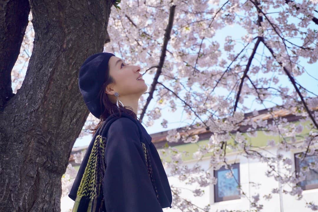 山田桃子のインスタグラム：「桜満開 .  桜前線を追いかけて... 小樽は、 桜が満開を迎えていました🌸  . #小樽 #小樽観光 #桜スポット  #北海道 #弾丸旅行  #桜前線 #桜前線北上中  #マルニバッグ #マルニ #フリーアナウンサー #山田桃子  @marni @public_tokyo  @ca4la_official」