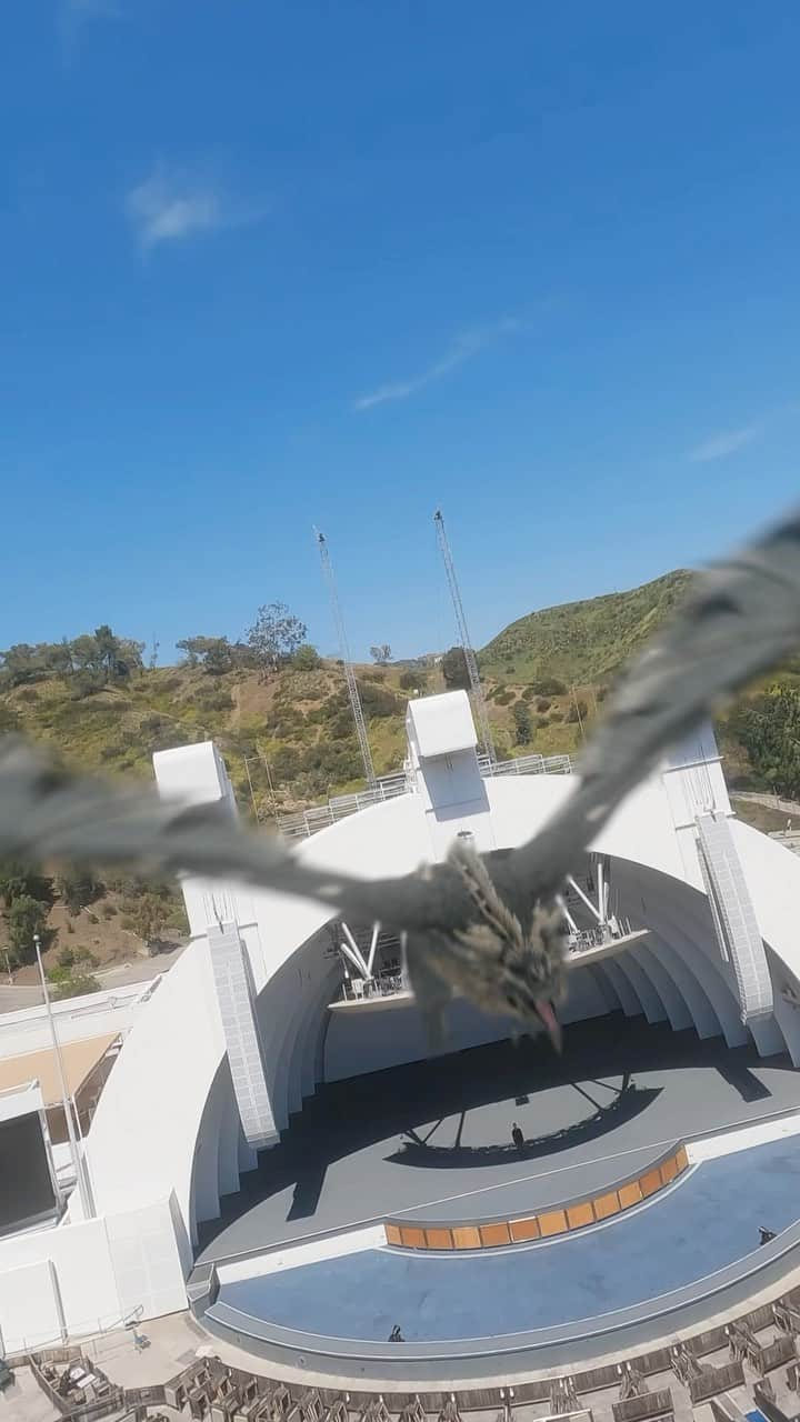 ゲーム・オブ・スローンズのインスタグラム：「Ready the banners. Ramin Djawadi makes his return to the Hollywood Bowl to perform the music of #GameofThrones on May 13.」