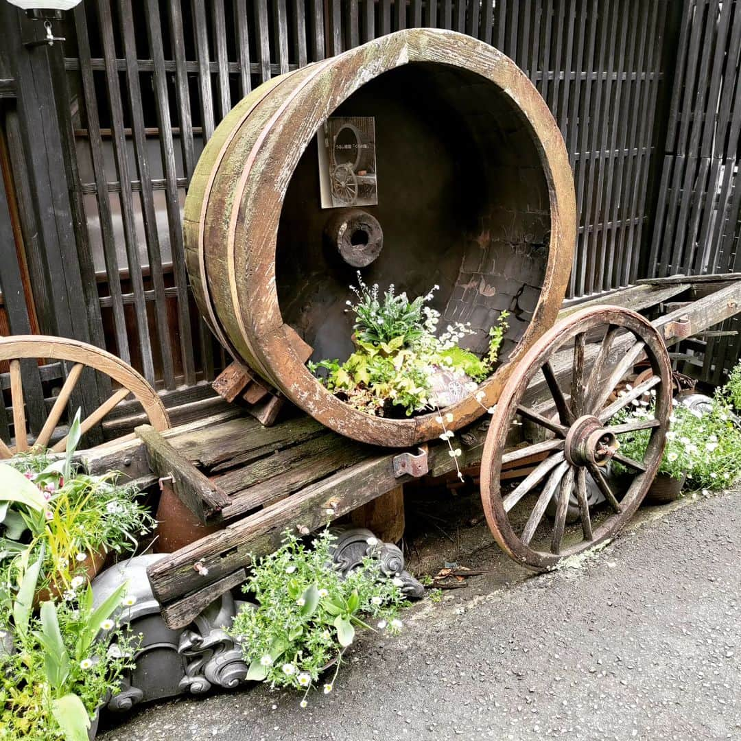 田舎暮らし応援県わかやまさんのインスタグラム写真 - (田舎暮らし応援県わかやまInstagram)「今日は海南市の市街地エリアの魅力のほんの一部をお届けします。海南市の市街地は公共交通機関がとても充実しているので、車がなくても大丈夫です。スーパーも、医療施設も憩いの場もすべて徒歩圏内。 古き良き町並みと美しい海と山に囲まれた海南市。是非一度遊び来てくださいね！ #和歌山県#和歌山観光#和歌山移住したい #和歌山#和歌山LIFE #wakayama #wakayamaprefecture #wakayamagram #nobinos #kainancitywakayama #海南市#黒江 #田舎暮らし#田舎 #日本の風景 #大自然#紀州漆器#うるわし館」4月27日 16時35分 - wakayama_life