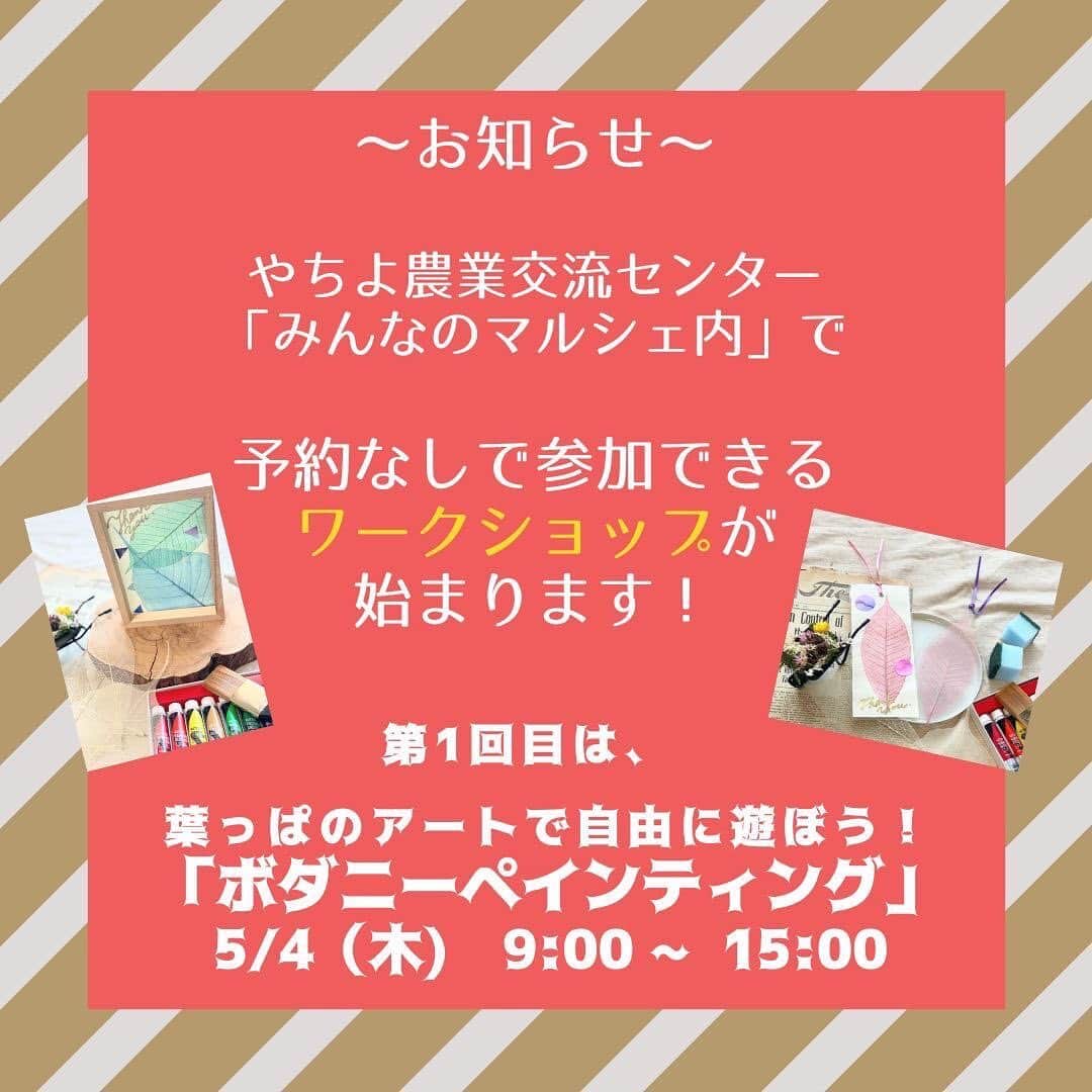 道の駅やちよのグルメインスタ