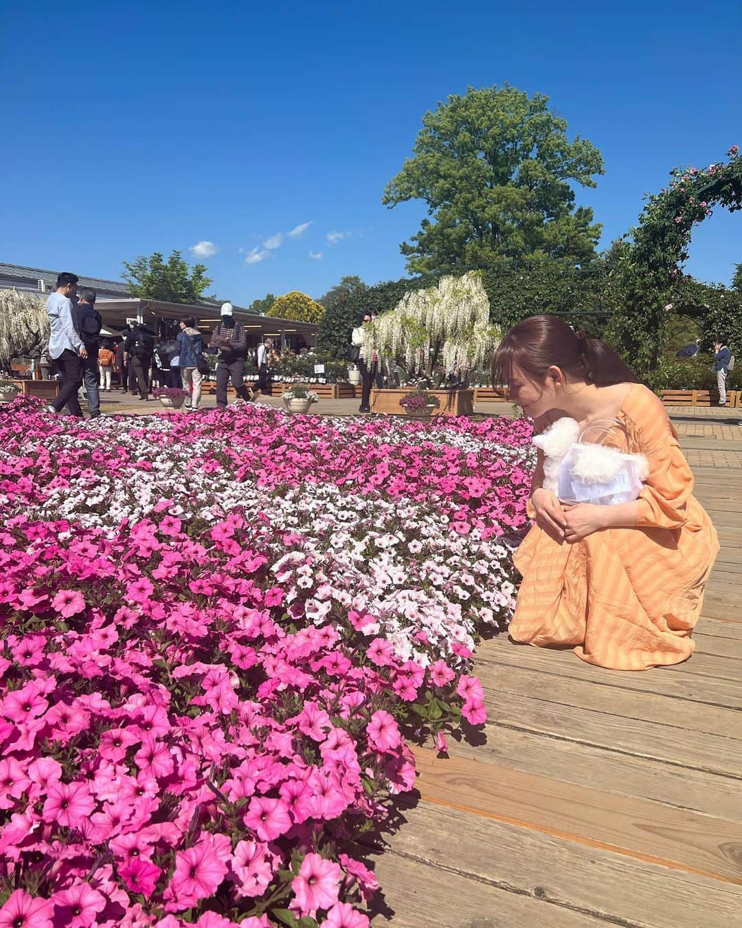 関根理紗さんのインスタグラム写真 - (関根理紗Instagram)「本日はあまりに良い天気なので、足利フラワーパークに行ってみました🌸  数年前から気になってはいたんですが、なかなかタイミング合わずで  今年こそ有名な藤棚が見たい！！ と行ってみました！  はなまさも行けたらよかったのですが 🐶NGなので代わりにはなまさっぽいカバンを持っていきました🙆‍♀️  そしてまさかの夫婦で色被りして ちょい恥ずでした。 （オレンジかぶることある？！）  夜のライトアップも素敵そうだったので来年あたり夜でリトライしたいです🌸  本日から、私のメインチャンネルは普段と同じような動画をあげていきます！  19時は間に合わなそうなのですが 上げる予定なのでよろしくお願いします！」4月27日 17時26分 - sekine.risa