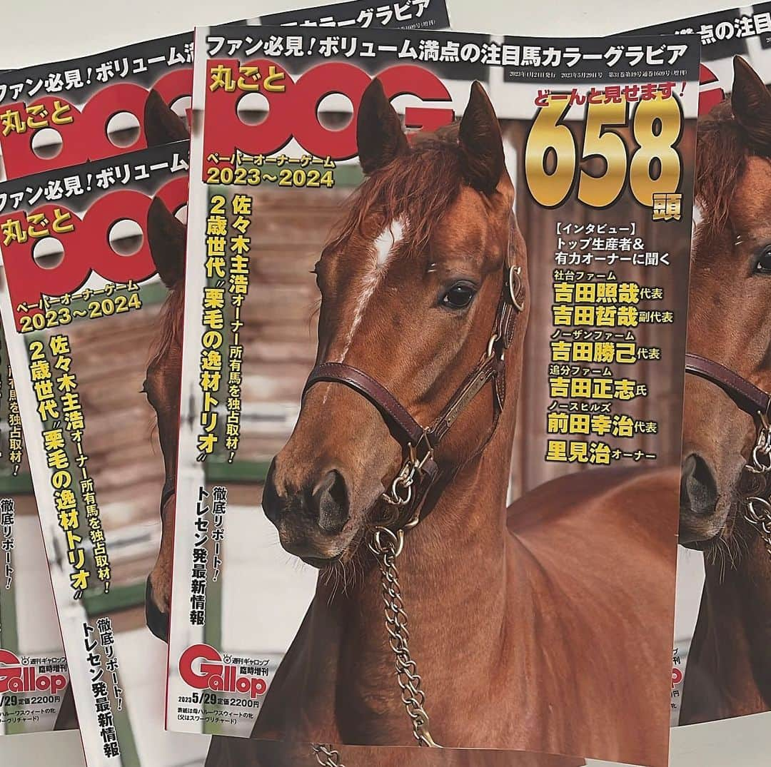 佐々木主浩のインスタグラム：「いま発売されている 週刊Gallopの増刊号「丸ごとPOG」 の表紙になっています ハルちゃんの最後の子供なので お母さんの名前を取って 🐎エヴァンスウィート🐎 と名付けました  昨年はグランヴィノスが表紙でした🤗  応援宜しくお願いします  #pog  #母 ハルーワスウィート  #🐎」