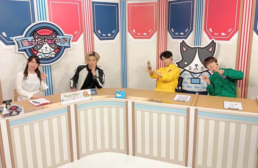 猫のひたいほどワイドのグルメインスタ