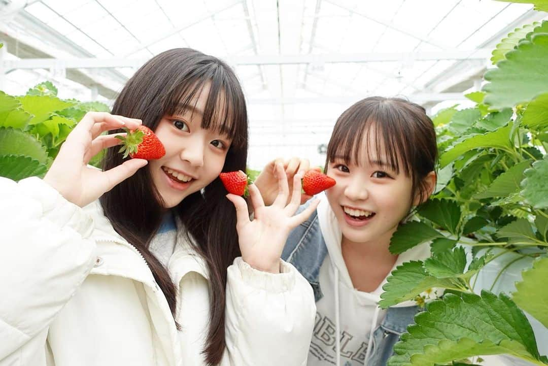 さやりさのインスタグラム：「2023/04/27  今日の動画は休日の一日👩🏻‍❤️‍👩🏻  春日部にあるヒロファームさんでいちご狩りしたよ！ いちご狩りの写真はいっぱいあるからまたあげるね🍓✨  りさからご報告も！  公開中なのでぜひ見てねー🦍💕  #いちご狩り  #vlog  #休日 #衣装選び  #振り入れ」