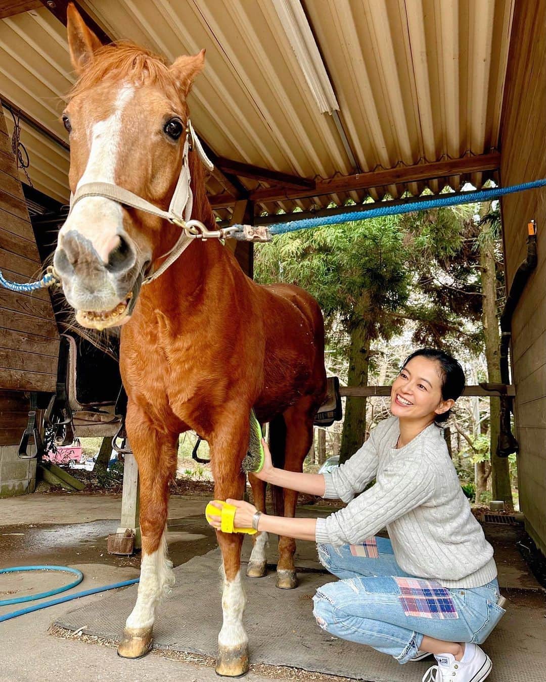 黒谷友香のインスタグラム：「皆さん、こんばんは🤗 今日はお天気良くて🌞陽射しが強かったねぇ。紫外線が気になる季節になってきたぞ〜‼︎ っといっても、まだ寒暖差があったりするからねぇ、体調管理には気を付けないと！なので、今日はヨモちゃん、今日お灸をしました☺️  美ストがWEBで読めるようになったからお知らせ😉✨  自分自身を愛する「自愛」についてや、ライフスタイル、 心掛けていることなどのインタビューが載ってるヨ🌼 是非、チェックしてみてネ😊  https://be-story.jp/article/191084  https://be-story.jp/article/191087  #ralphlauren#poloralphlauren#乗馬#馬#東京#tokyo#sdgs#ログハウス#着物#ハーブ#地球温暖化#ガーデニング#LOVOT #ラボット#mediaid#diy#日本#日産 #nissan#EV#日産ariya#ai#大鵬薬品工業#バップフォーレディ#エビス#プレミアムケアハブラシ#いち瑠#黒谷友香」
