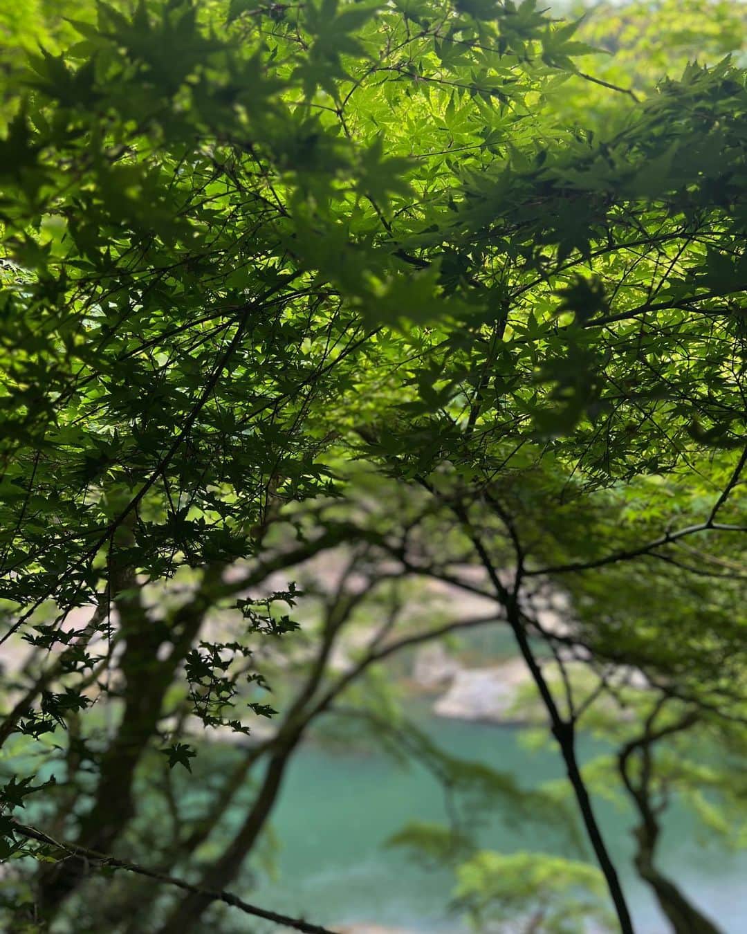 林村ゆかりさんのインスタグラム写真 - (林村ゆかりInstagram)「新緑感じてきた🌿 お腹痛いとき、マイナスイオンを吸ってると治ってくるという不思議。一足お先に蛍も見てきたよ。  #嵐山#京都嵐山#星のや#星のや嵐山#kyoto#京都」4月27日 18時56分 - yukarice0