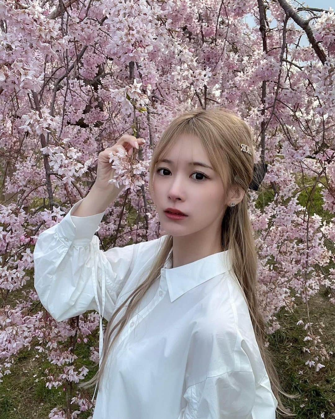 Yurikaのインスタグラム：「あたり一面桜🌸💘 函館公園も五稜郭も本当に綺麗だった🤍 毎年観に行きたいくらい感動した😭💘 #函館公園 #お花見 #五稜郭 #桜 #函館 #函館旅行」