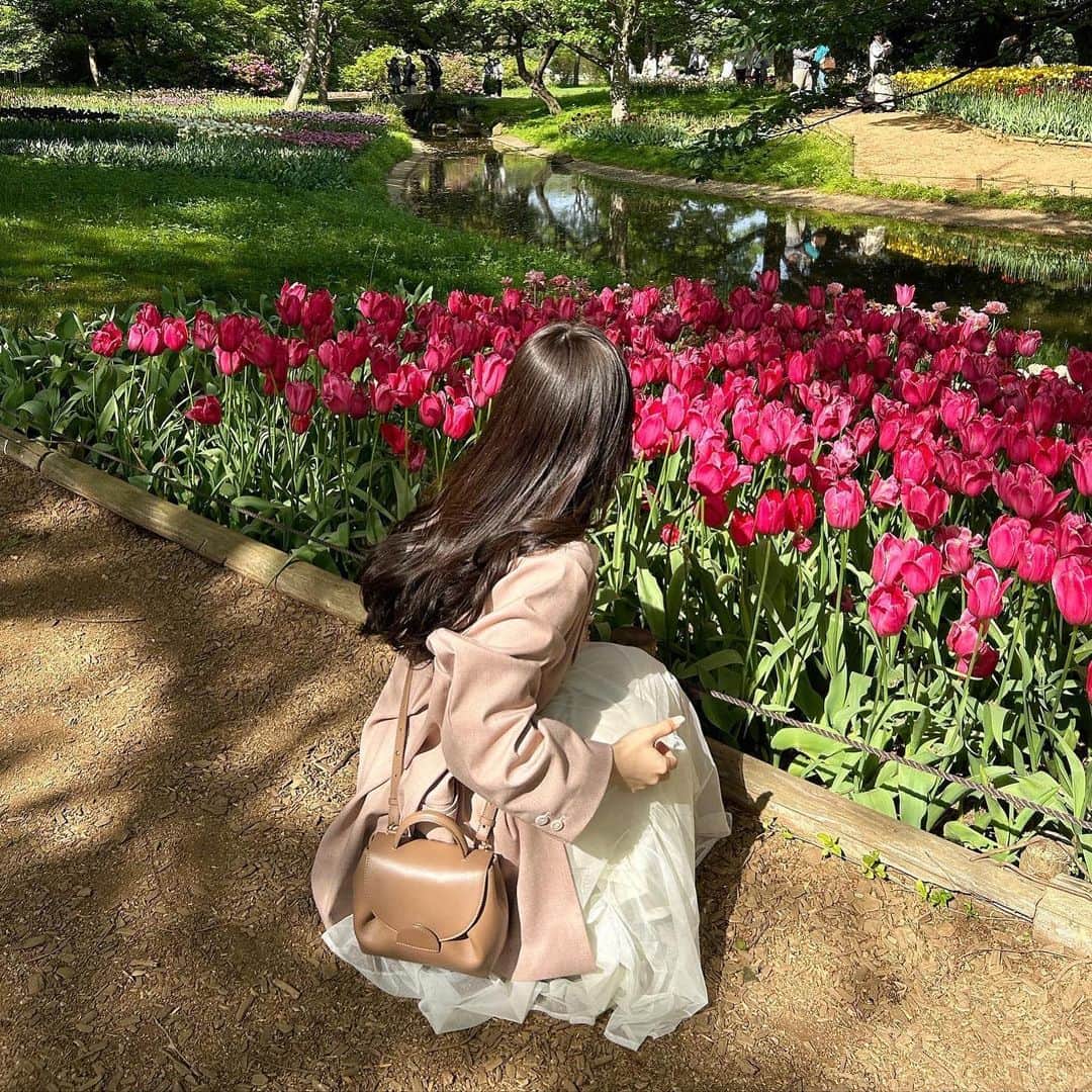 あみさんのインスタグラム写真 - (あみInstagram)「︴𝑠ℎ𝑜𝑤𝑎 𝑚𝑒𝑚𝑜𝑟𝑖𝑎𝑙 𝑝𝑎𝑟𝑘  𓂃𓈒𓏸   立川にある昭和記念公園でフラワーフェスティバル やってるって知って行ってきた👀💭  いろんなお花あって綺麗だったな🌷  この日のジャケットコーデお気に入り .. 🤍 かちっとしたアウターとかあんまり得意じゃないんだけど このジャケットはゆるっと着れるしピンクで 柔らかい印象になるから好き👀💞  . . . #昭和記念公園 #立川 #フラワーフェスティバル #春コーデ #低身長コーデ #骨格ウェーブ #ジャケットコーデ #ワントーンコーデ #ピンクコーデ #淡色コーデ #kastane #mystic #polene #モカベージュ #アッシュカラー #グレージュ」4月27日 19時10分 - ami___nmo