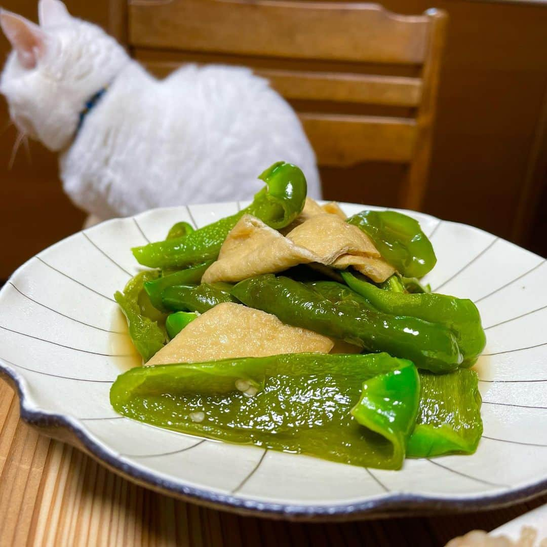 らんままさんのインスタグラム写真 - (らんままInstagram)「2023.4.27  今日のお夕飯⁣ ⁣ ⁣ 海老と春雨の豆豉炒め⁣ 酸辣湯スープ⁣ とん平焼き⁣ ピーマンと油揚げの煮物⁣ マカロニツナサラダ⁣ きゅうりとかぶの浅漬け⁣ ⁣ ⁣ ⁣ こんばんは　木曜日ですね⁣ いつもご覧いただきましてありがとうございます⁣ ⁣ ⁣ ⁣ 今日の動画はリアル くぅさん です⁣ ⁣ 　⁣ ⁣ ⁣  #晩酌#晩御飯#献立#ばんごはん#おうち居酒屋#働く主婦の食卓#くぅさんを探せ#丸テーブル⁣ ⁣ ⁣ ⁣ ⁣」4月27日 20時05分 - ran.mamayo