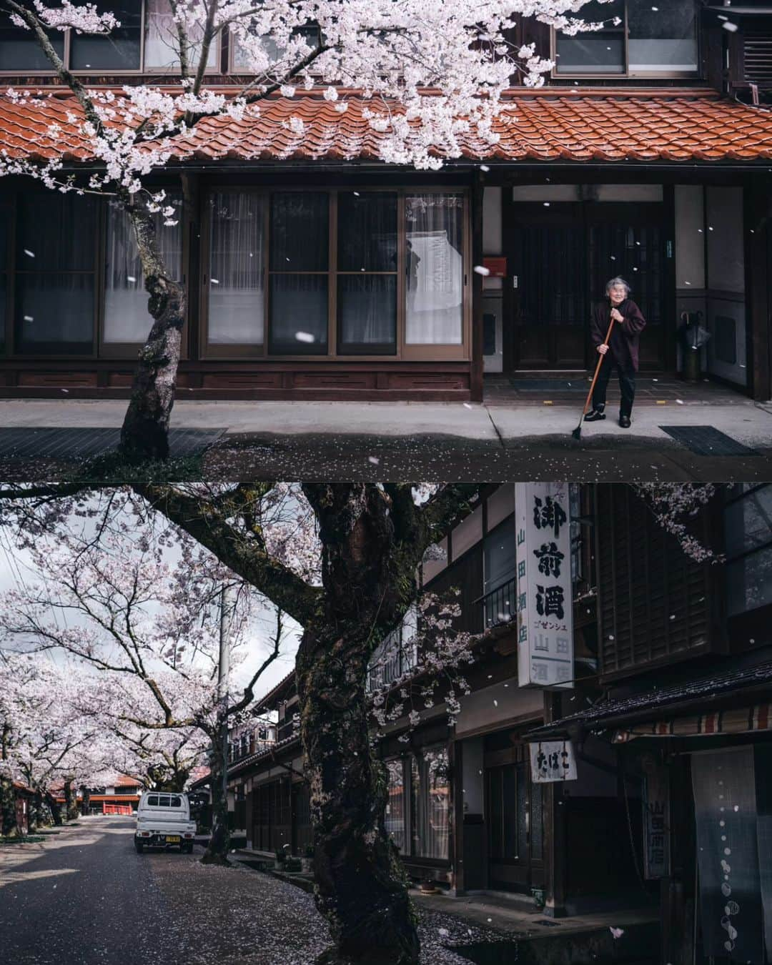 deepskyさんのインスタグラム写真 - (deepskyInstagram)「Good bye, Sakura...till next year ！ また来年！ I'm already looking forward to next year's Cherryblossom ！ 桜が散ってしまいましたね… すでに来年の桜が待ち遠しいです。 . #Sakura #cherryblossom #桜 #japan  . . .  #awesomephotographers  #complexphotos  #sonyalpha  #beautifuldestinations #landscapephoto  #photography」4月27日 20時14分 - _deepsky