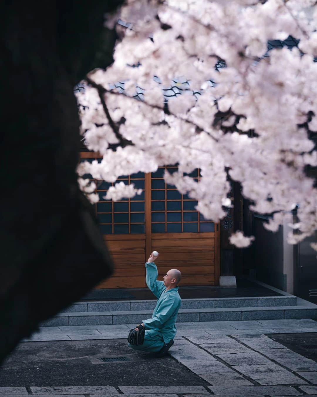 deepskyさんのインスタグラム写真 - (deepskyInstagram)「Good bye, Sakura...till next year ！ また来年！ I'm already looking forward to next year's Cherryblossom ！ 桜が散ってしまいましたね… すでに来年の桜が待ち遠しいです。 . #Sakura #cherryblossom #桜 #japan  . . .  #awesomephotographers  #complexphotos  #sonyalpha  #beautifuldestinations #landscapephoto  #photography」4月27日 20時14分 - _deepsky