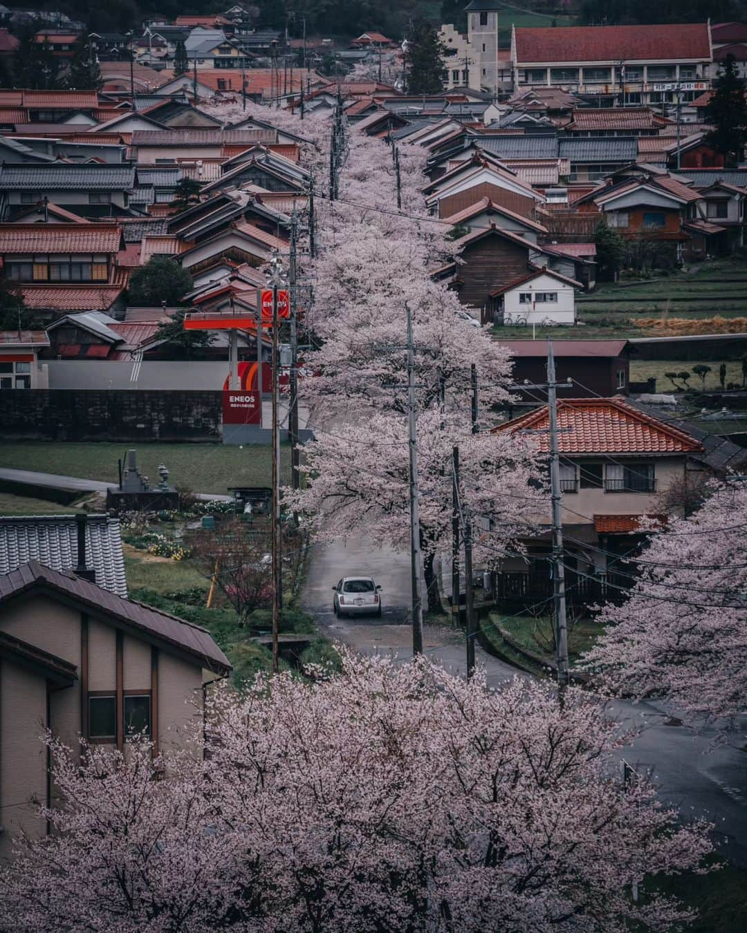 deepskyさんのインスタグラム写真 - (deepskyInstagram)「Good bye, Sakura...till next year ！ また来年！ I'm already looking forward to next year's Cherryblossom ！ 桜が散ってしまいましたね… すでに来年の桜が待ち遠しいです。 . #Sakura #cherryblossom #桜 #japan  . . .  #awesomephotographers  #complexphotos  #sonyalpha  #beautifuldestinations #landscapephoto  #photography」4月27日 20時14分 - _deepsky