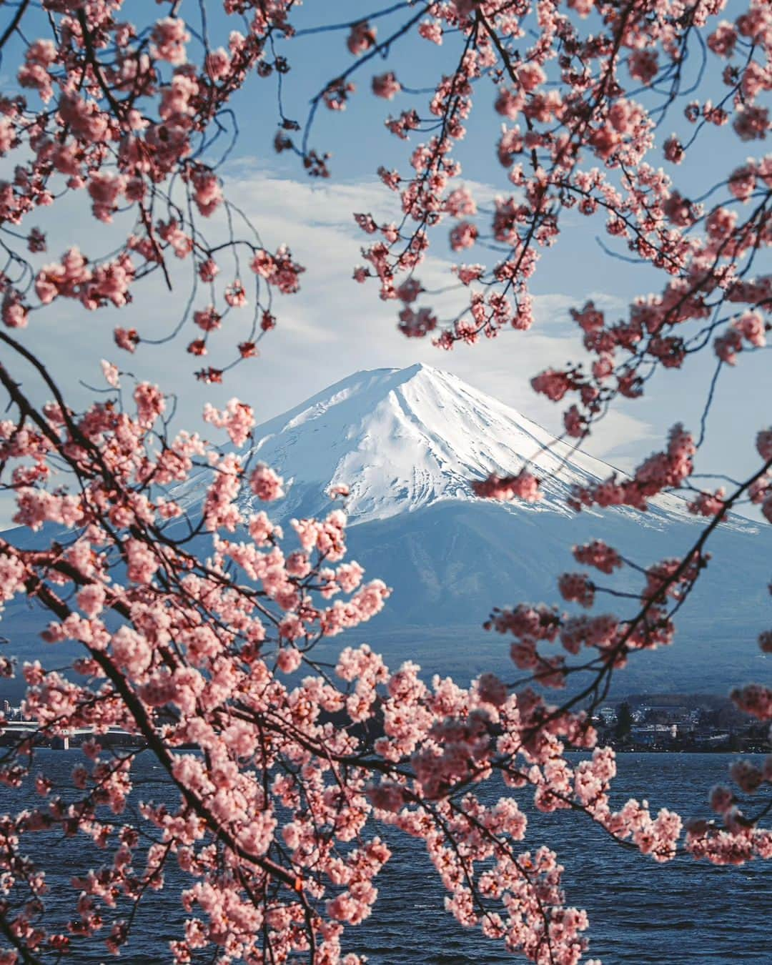 deepskyさんのインスタグラム写真 - (deepskyInstagram)「Good bye, Sakura...till next year ！ また来年！ I'm already looking forward to next year's Cherryblossom ！ 桜が散ってしまいましたね… すでに来年の桜が待ち遠しいです。 . #Sakura #cherryblossom #桜 #japan  . . .  #awesomephotographers  #complexphotos  #sonyalpha  #beautifuldestinations #landscapephoto  #photography」4月27日 20時14分 - _deepsky