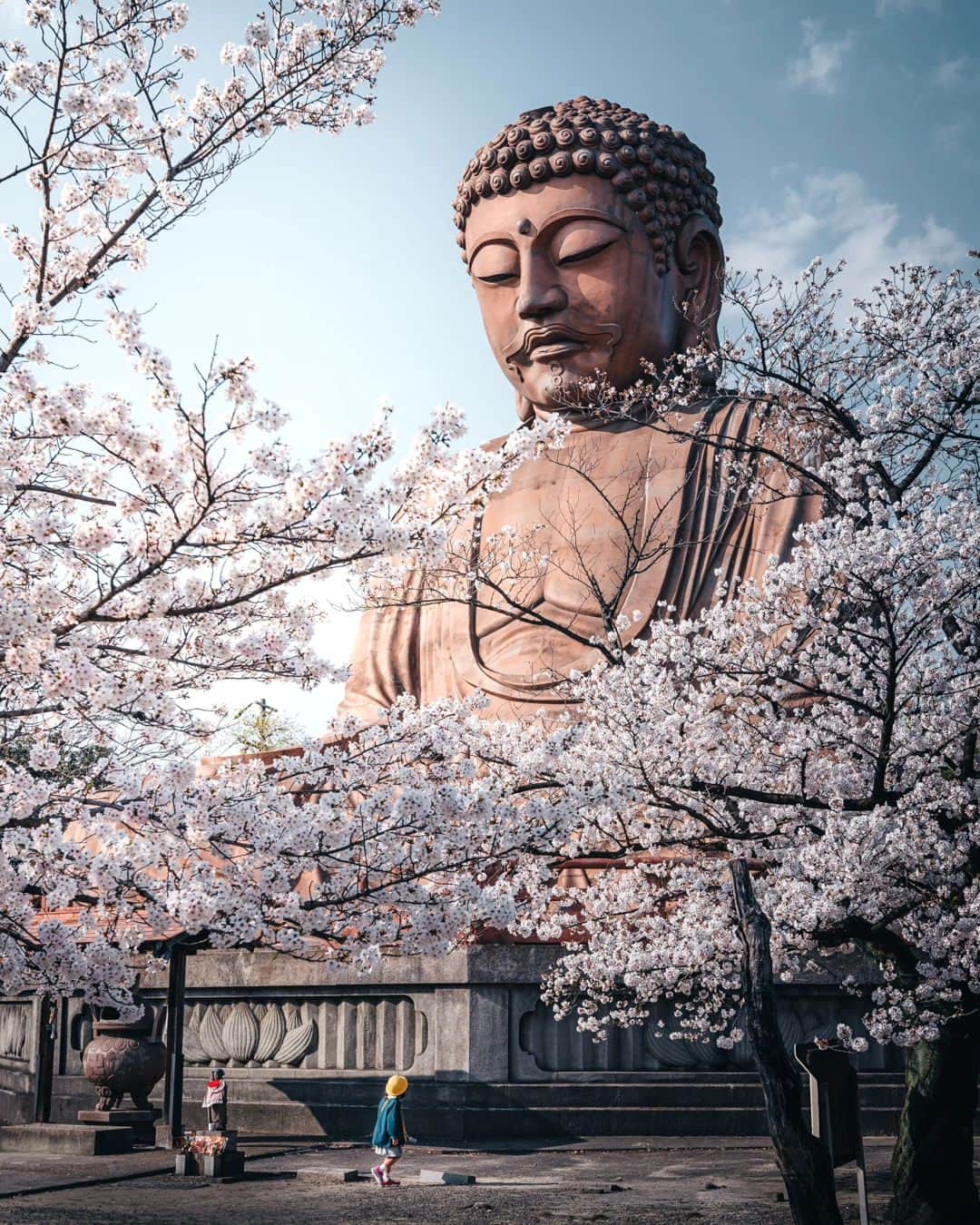 deepskyさんのインスタグラム写真 - (deepskyInstagram)「Good bye, Sakura...till next year ！ また来年！ I'm already looking forward to next year's Cherryblossom ！ 桜が散ってしまいましたね… すでに来年の桜が待ち遠しいです。 . #Sakura #cherryblossom #桜 #japan  . . .  #awesomephotographers  #complexphotos  #sonyalpha  #beautifuldestinations #landscapephoto  #photography」4月27日 20時14分 - _deepsky