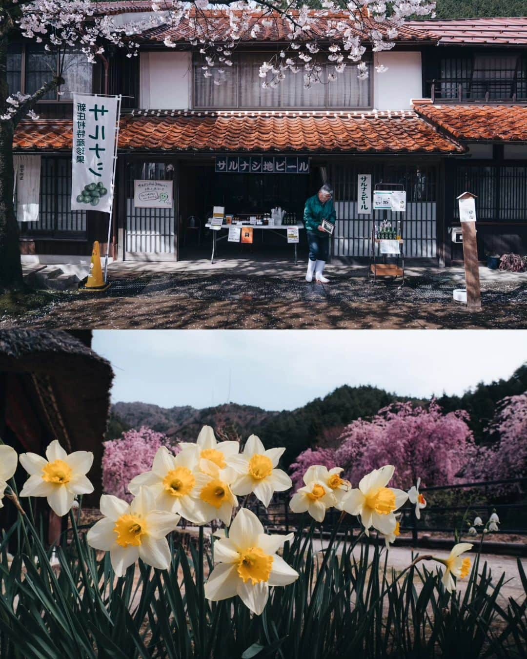 deepskyさんのインスタグラム写真 - (deepskyInstagram)「Good bye, Sakura...till next year ！ また来年！ I'm already looking forward to next year's Cherryblossom ！ 桜が散ってしまいましたね… すでに来年の桜が待ち遠しいです。 . #Sakura #cherryblossom #桜 #japan  . . .  #awesomephotographers  #complexphotos  #sonyalpha  #beautifuldestinations #landscapephoto  #photography」4月27日 20時14分 - _deepsky