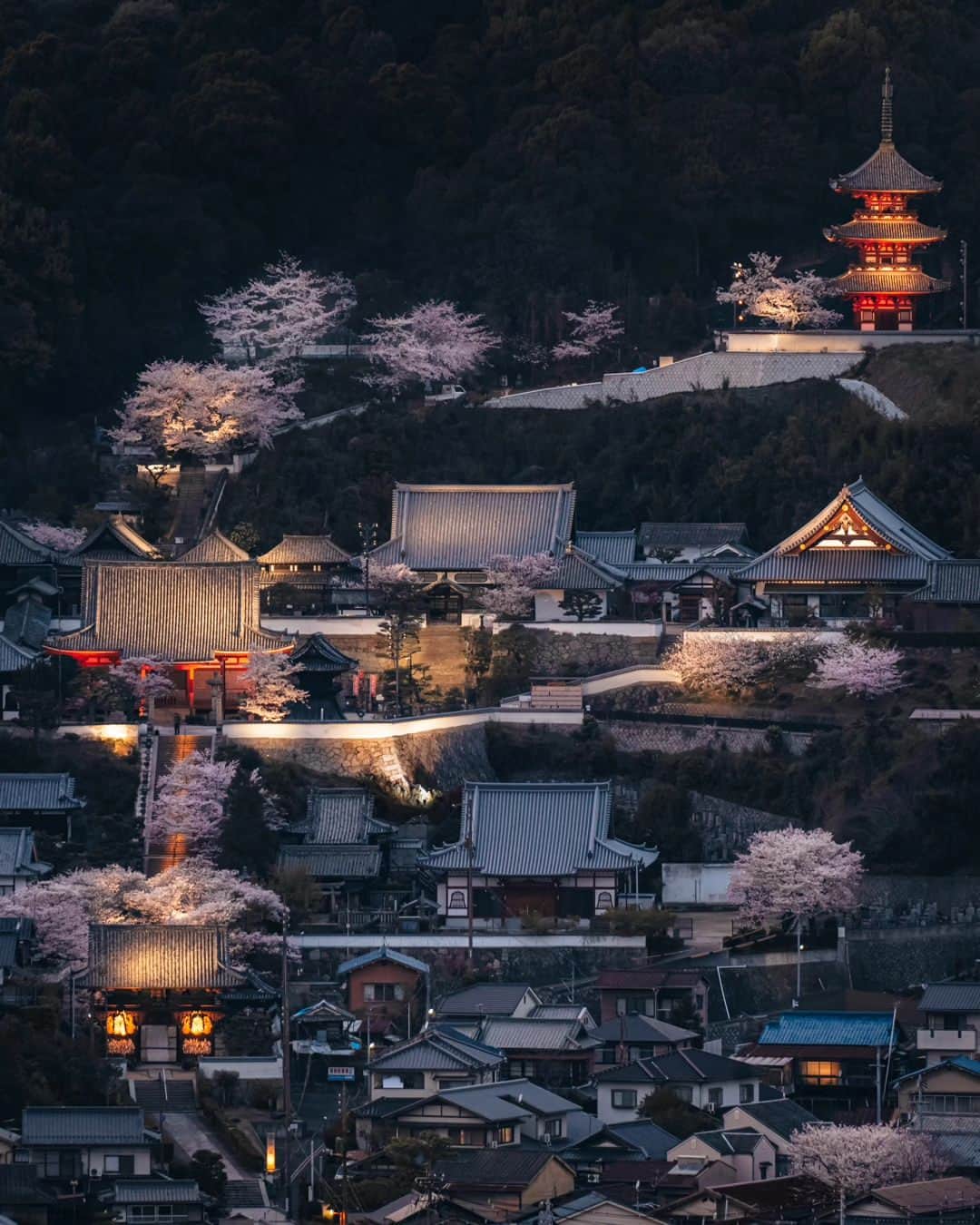 deepskyのインスタグラム：「Good bye, Sakura...till next year ！ また来年！ I'm already looking forward to next year's Cherryblossom ！ 桜が散ってしまいましたね… すでに来年の桜が待ち遠しいです。 . #Sakura #cherryblossom #桜 #japan  . . .  #awesomephotographers  #complexphotos  #sonyalpha  #beautifuldestinations #landscapephoto  #photography」
