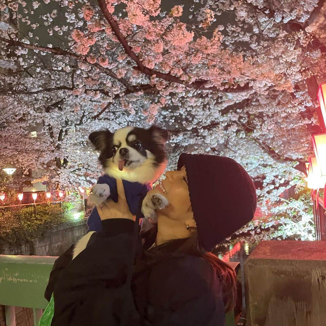 ケルク ハナのインスタグラム：「yay🐶」