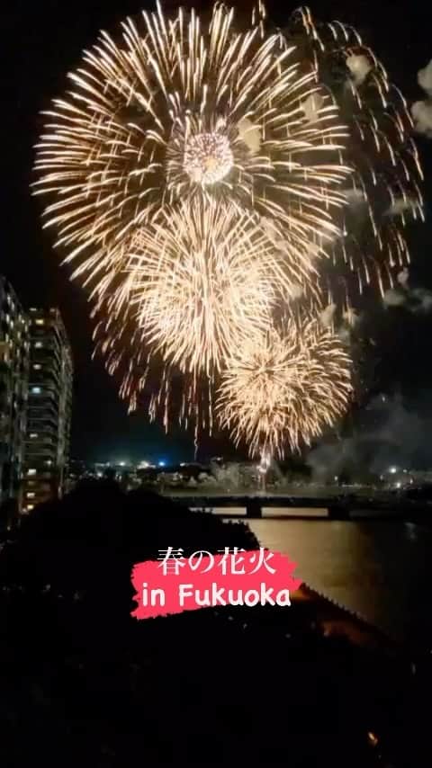 中島浩二のインスタグラム