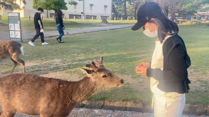 中西悠綺のインスタグラム