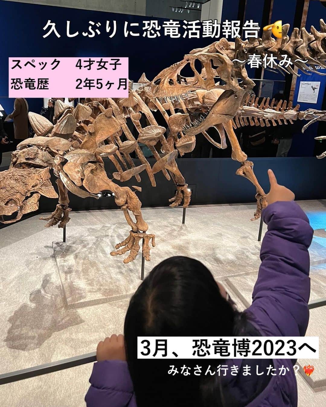 まるまるさんのインスタグラム写真 - (まるまるInstagram)「@pg_marumaru ←恐竜LOVE4歳👧🏻❤️ ⁡ ⁡ ⁡ ⁡ 久しぶりに推し活報告を…🦖🦖🦖 ⁡ \春休みの恐竜活動/ 上野の恐竜博が6月まであるので、まだ行かれてない方は是非いってくださいね✨ズールとマイプかっこよ！！！最高でしたよ〜😭💛💛 そして、静岡と茨城県にも遠征🫡こちらも良かったですー！また行きます✨ ⁡ ⁡ GWにおすすめなのは、東京ならディノサファリ！迫力満点で楽しかったよー（今日幼稚園終わりにねじ込みました😂✨） 引き続き今年も恐竜yearにしていきます〜✊✨ 恐竜好きのみんな、恐竜活動たのしみましょーう🦖🦖🦖 ⁡ 恐竜好きさんは、ハイライト是非みてね💛💛💛 恐竜のことなら何でも聞いてください😘 ⁡ ⁡ ーーーーーーーーーーーーーーーーーーーーー ⁡ 知育好きなママが、おうちで簡単に楽しめる知育遊びを紹介しています✨ 他の投稿も覗いてみてね👀💛💛 ⁡ ーーーーーーーーーーーーーーーーーーーー #恐竜 #恐竜好き」4月27日 21時19分 - pg_marumaru