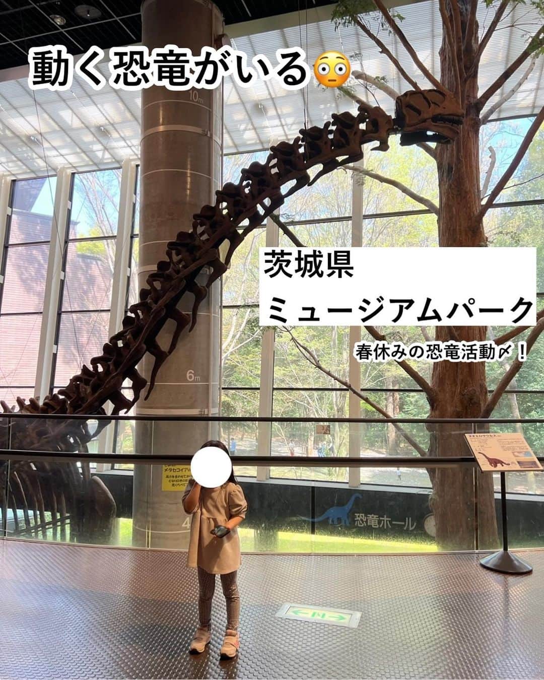 まるまるさんのインスタグラム写真 - (まるまるInstagram)「@pg_marumaru ←恐竜LOVE4歳👧🏻❤️ ⁡ ⁡ ⁡ ⁡ 久しぶりに推し活報告を…🦖🦖🦖 ⁡ \春休みの恐竜活動/ 上野の恐竜博が6月まであるので、まだ行かれてない方は是非いってくださいね✨ズールとマイプかっこよ！！！最高でしたよ〜😭💛💛 そして、静岡と茨城県にも遠征🫡こちらも良かったですー！また行きます✨ ⁡ ⁡ GWにおすすめなのは、東京ならディノサファリ！迫力満点で楽しかったよー（今日幼稚園終わりにねじ込みました😂✨） 引き続き今年も恐竜yearにしていきます〜✊✨ 恐竜好きのみんな、恐竜活動たのしみましょーう🦖🦖🦖 ⁡ 恐竜好きさんは、ハイライト是非みてね💛💛💛 恐竜のことなら何でも聞いてください😘 ⁡ ⁡ ーーーーーーーーーーーーーーーーーーーーー ⁡ 知育好きなママが、おうちで簡単に楽しめる知育遊びを紹介しています✨ 他の投稿も覗いてみてね👀💛💛 ⁡ ーーーーーーーーーーーーーーーーーーーー #恐竜 #恐竜好き」4月27日 21時19分 - pg_marumaru
