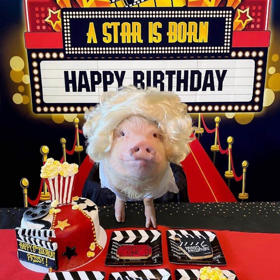 Priscilla and Poppletonさんのインスタグラム写真 - (Priscilla and PoppletonInstagram)「#ThorwbackThursday to all my past birthdays. This girl turns TEN on Saturday, and I am so excited! Anyone care to guess what my birthday theme will be this year? Swipe through to see some of my past themes and leave your guesses below! Two more sleeps!🐷🎉 #prissyturnsten #happybdayprissypig #birthdaygirl #prissyandpop」4月27日 22時01分 - prissy_pig