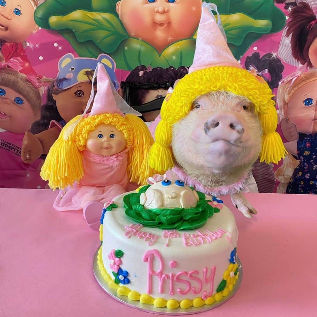Priscilla and Poppletonさんのインスタグラム写真 - (Priscilla and PoppletonInstagram)「#ThorwbackThursday to all my past birthdays. This girl turns TEN on Saturday, and I am so excited! Anyone care to guess what my birthday theme will be this year? Swipe through to see some of my past themes and leave your guesses below! Two more sleeps!🐷🎉 #prissyturnsten #happybdayprissypig #birthdaygirl #prissyandpop」4月27日 22時01分 - prissy_pig