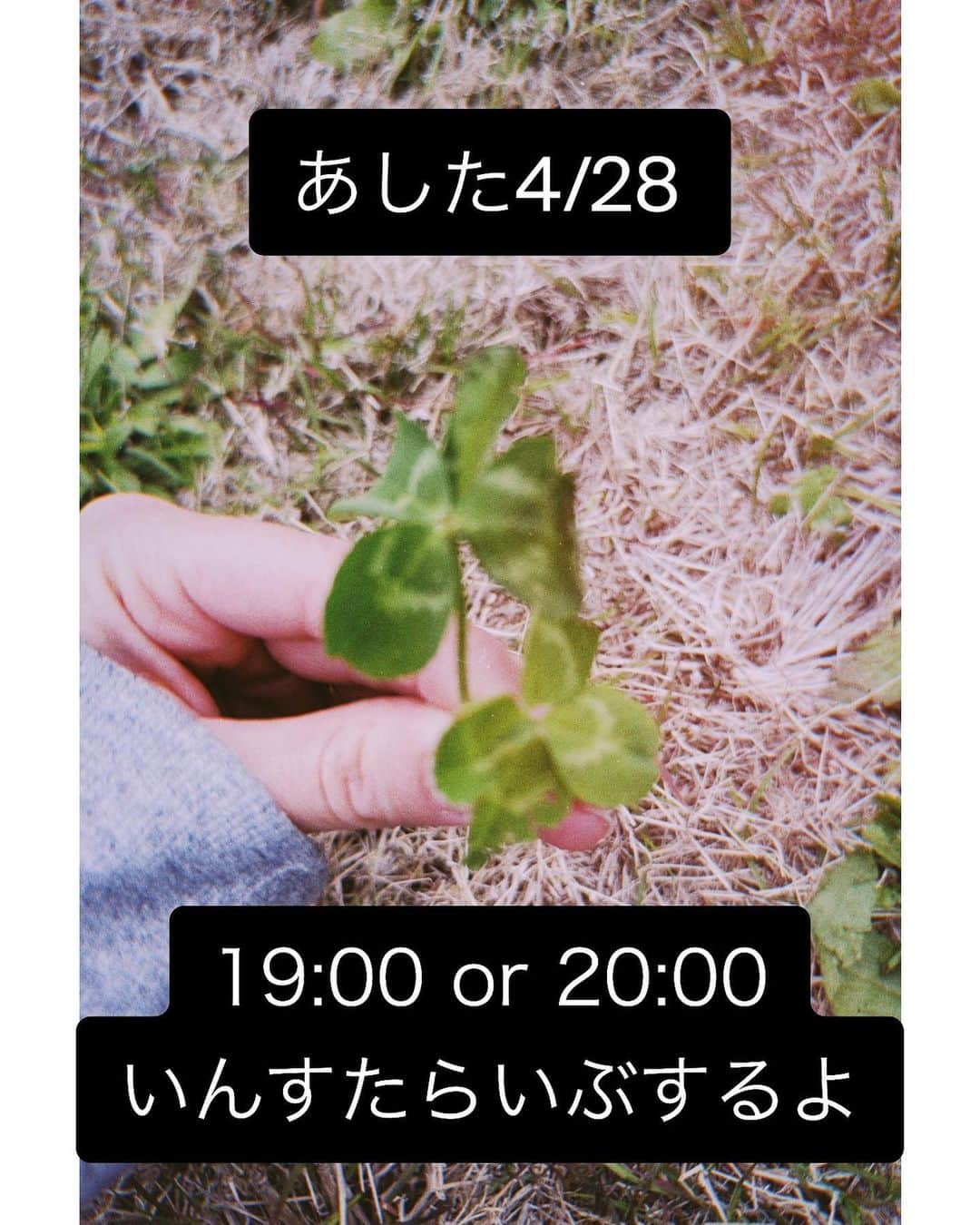 木村カエラのインスタグラム：「明日4/28 19:00とか20:00くらいからインスタLIVEするよ。 リハーサルしてあとだから、時間決められなくてごめんね。🥹  みてね。 #インスタライブ #グッズ紹介」