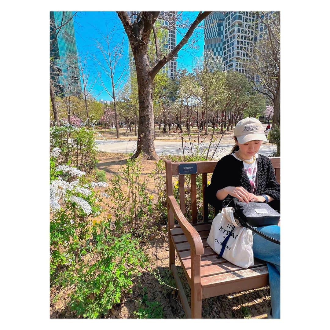 megumi matsuoのインスタグラム：「4月2日 5日目 ソウルの森 Spring Day  バンタンが寄付した椅子 サラが検索しながら案内してくれたw  桜満開 お店が出てたり ピクニックしたり ボール遊びしたり ローラースケートしたり めっちゃ素敵な公園だった♡  #春休み#家族旅行#韓国旅行#ソウルの森#ソウルの森ベンチ#btsベンチ#公園#韓国#ソウル#散歩#さんぽ#ママ#ママライフ#3児ママ#アラフィフ#40代」