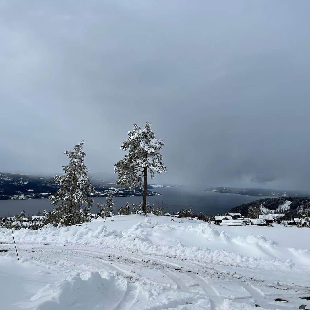 エド・ウェストウィックさんのインスタグラム写真 (エド・ウェストウィックInstagram)「Life’s crazy」4月27日 22時