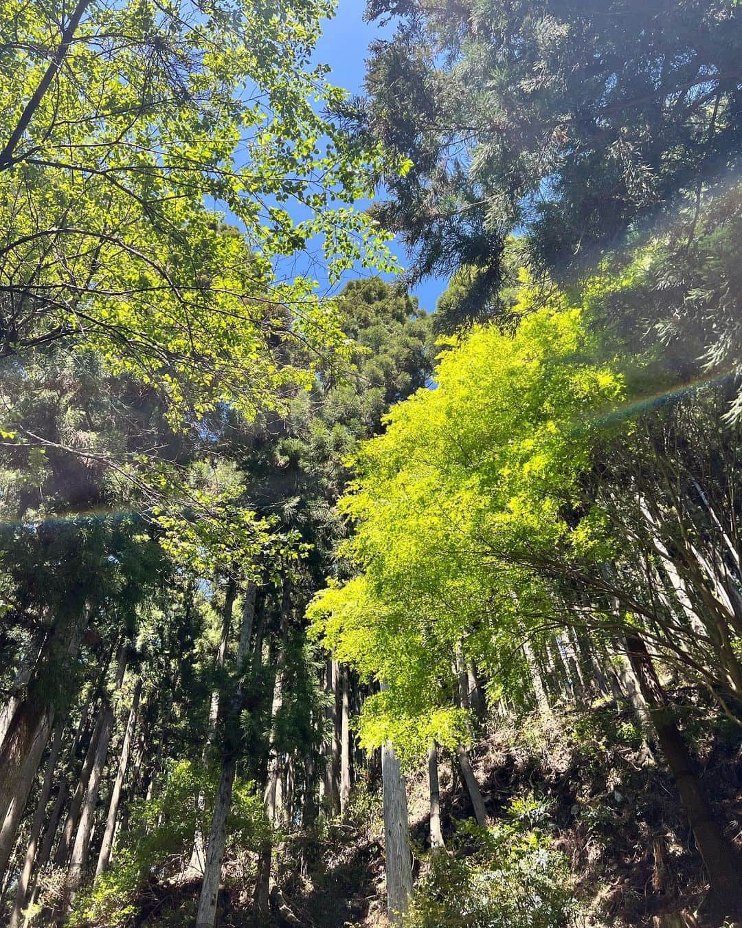 茜さやさんのインスタグラム写真 - (茜さやInstagram)「もこちゃんと身延山へ⛰ 天気が良くて新緑がキラキラ気持ちよかった☺️✨  定期的に身延山でご祈祷をしていただきますが初めて自分の足で奥の院まで歩きました！  登り2時間半めちゃくちゃ疲れるけど達成感がすごかった…🙆‍♀️  頂上付近から見える富士山にもうっとり🗻✨  今日はヘトヘトなので早く寝よう〜😴笑  #山梨県　#山梨　#身延山　#身延　#登山　#ご祈祷　#お参り　#お寺　#yamanashi #minobusan #temple #temples」4月27日 22時35分 - saya.akane