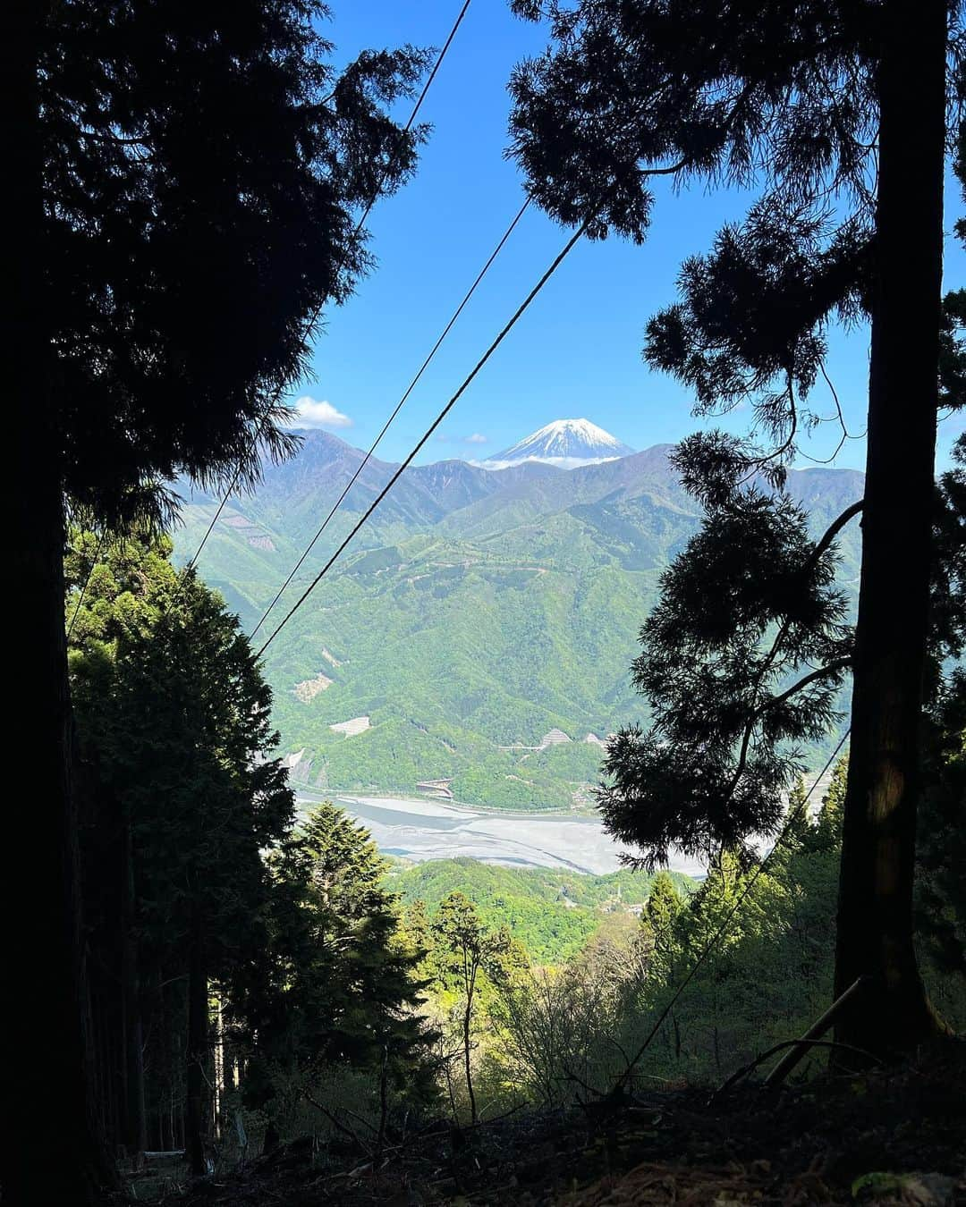 茜さやさんのインスタグラム写真 - (茜さやInstagram)「もこちゃんと身延山へ⛰ 天気が良くて新緑がキラキラ気持ちよかった☺️✨  定期的に身延山でご祈祷をしていただきますが初めて自分の足で奥の院まで歩きました！  登り2時間半めちゃくちゃ疲れるけど達成感がすごかった…🙆‍♀️  頂上付近から見える富士山にもうっとり🗻✨  今日はヘトヘトなので早く寝よう〜😴笑  #山梨県　#山梨　#身延山　#身延　#登山　#ご祈祷　#お参り　#お寺　#yamanashi #minobusan #temple #temples」4月27日 22時35分 - saya.akane