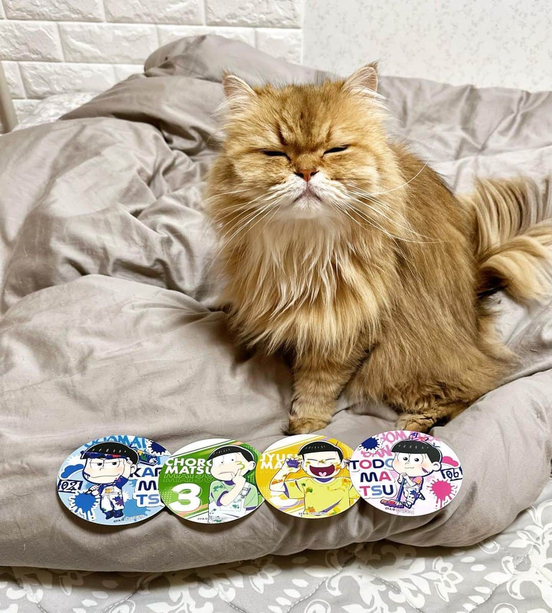 manami☺︎satoのグルメインスタ