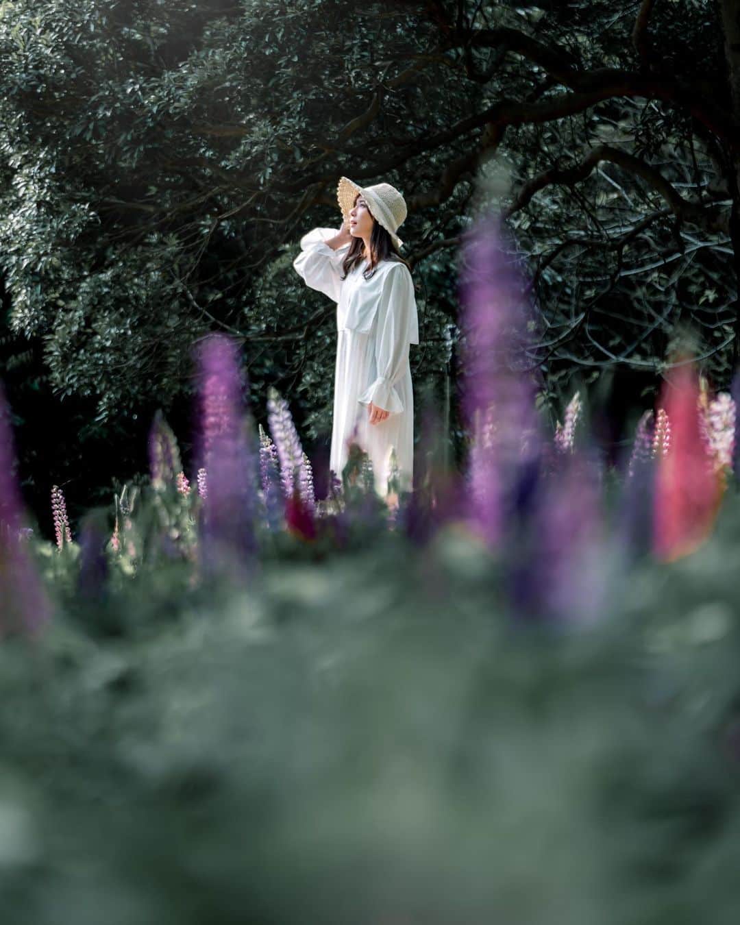 のインスタグラム：「* . . . . . lupine. . 実はルピナスでポトレを 撮ったのも初めてでした☺️ 後ろの人が 変なお花！変なお花！って 連呼してたの面白かった🤣笑 . そしてちょっと暗かったので Lightroomの新機能ノイズ除去を 使ってみたら質感なかなか 良いですね😳✨ . . model : @fujirom_  . . FUJIFILM X-T5 /  XF50-140mm F2.8 R LM OIS WR . . お仕事・撮影のご依頼はDMかメールに お願い致します。 . . . . . . *」