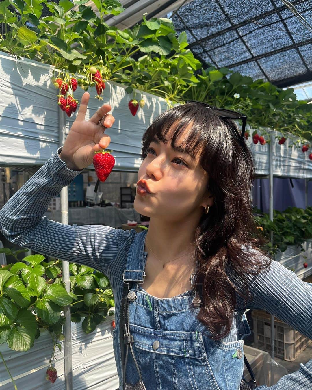 長澤メイさんのインスタグラム写真 - (長澤メイInstagram)「山梨県さいこ〜🍓🫶💕♨️✨ #山梨県 #いちごハウス #ほったらかし温泉」4月27日 23時07分 - xxmeixx1208