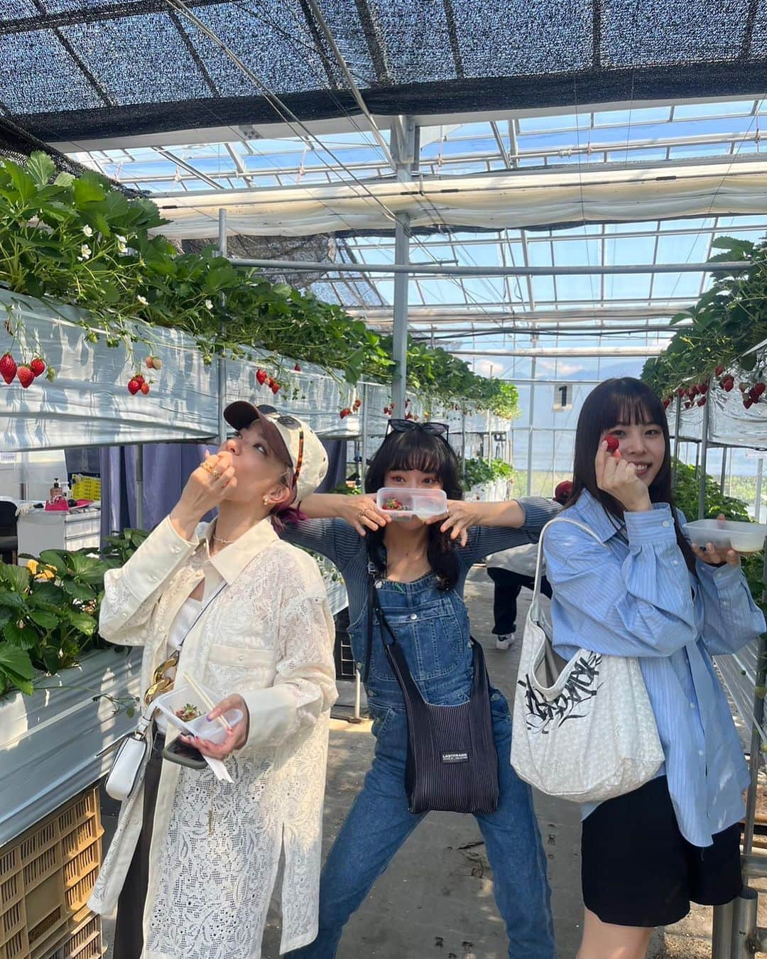 長澤メイさんのインスタグラム写真 - (長澤メイInstagram)「山梨県さいこ〜🍓🫶💕♨️✨ #山梨県 #いちごハウス #ほったらかし温泉」4月27日 23時07分 - xxmeixx1208