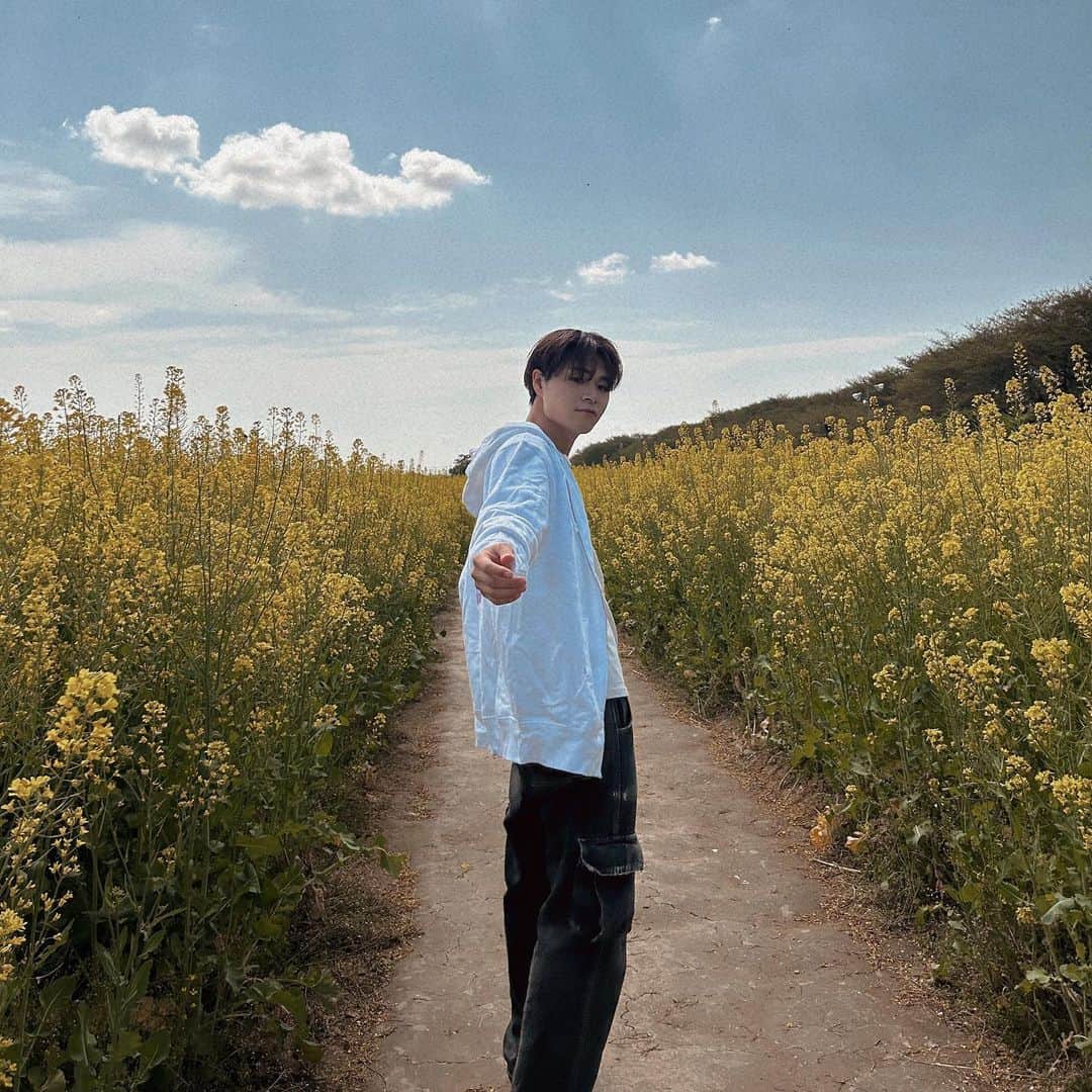 海帆さんのインスタグラム写真 - (海帆Instagram)「🐝...「あ、こんなところに。」  菜の花に囲まれて散策〜👀  🟡🟨🟡🟨🟡  #散歩」4月27日 23時14分 - nakanokaiho