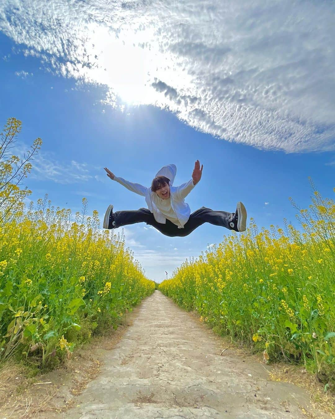 海帆さんのインスタグラム写真 - (海帆Instagram)「🐝...「あ、こんなところに。」  菜の花に囲まれて散策〜👀  🟡🟨🟡🟨🟡  #散歩」4月27日 23時14分 - nakanokaiho