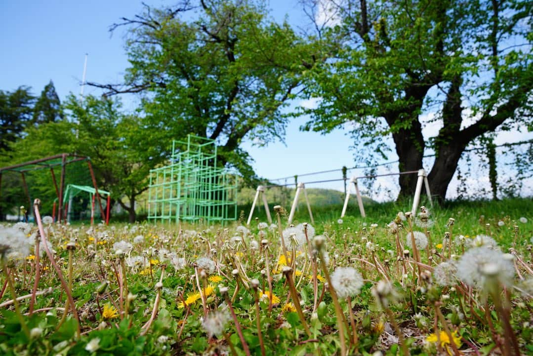 いぶくろ聖志のインスタグラム：「素敵すぎる小学校  #photography #camera #japan #nagano_japan  #school #写真　#カメラ　#日本 #長野　#川田　#小学校」