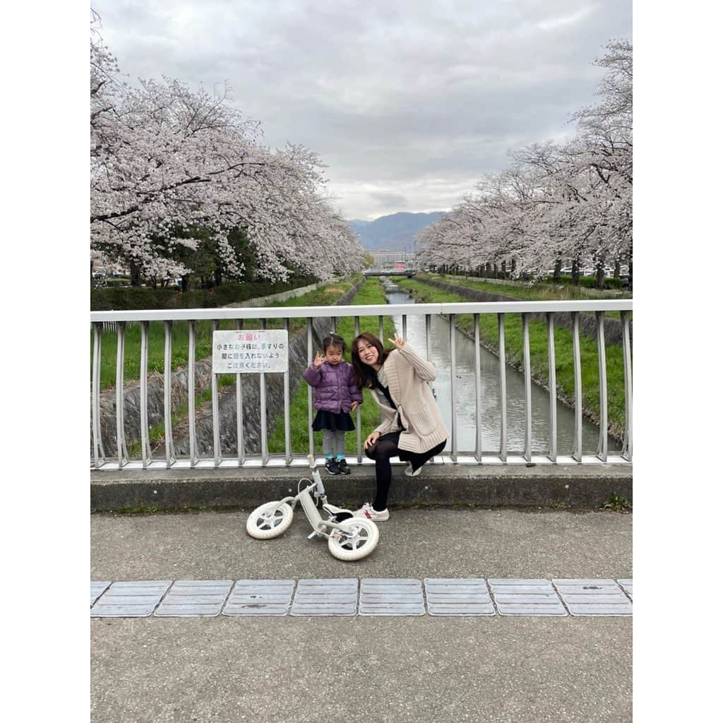 山田真以さんのインスタグラム写真 - (山田真以Instagram)「#時差投稿 久しぶりに見た#小瀬スポーツ公園 のさくら🌸 とっても綺麗だった🫧 紙芝居してるおじさんがいて、 子供たちが集まって楽しそうに見ていたりして、私も娘も一緒に楽しませてもらいました☺️  娘が大好きないちご狩りにも行けた🍓💗 @ichigozanmai   次はいつ山梨に帰ろうか？と、離れても大好きな場所🗻 #山梨#甲府#さくら#桜#🌸#いちござんまい#いちご狩り#🍓」4月28日 0時00分 - maaai.yamada