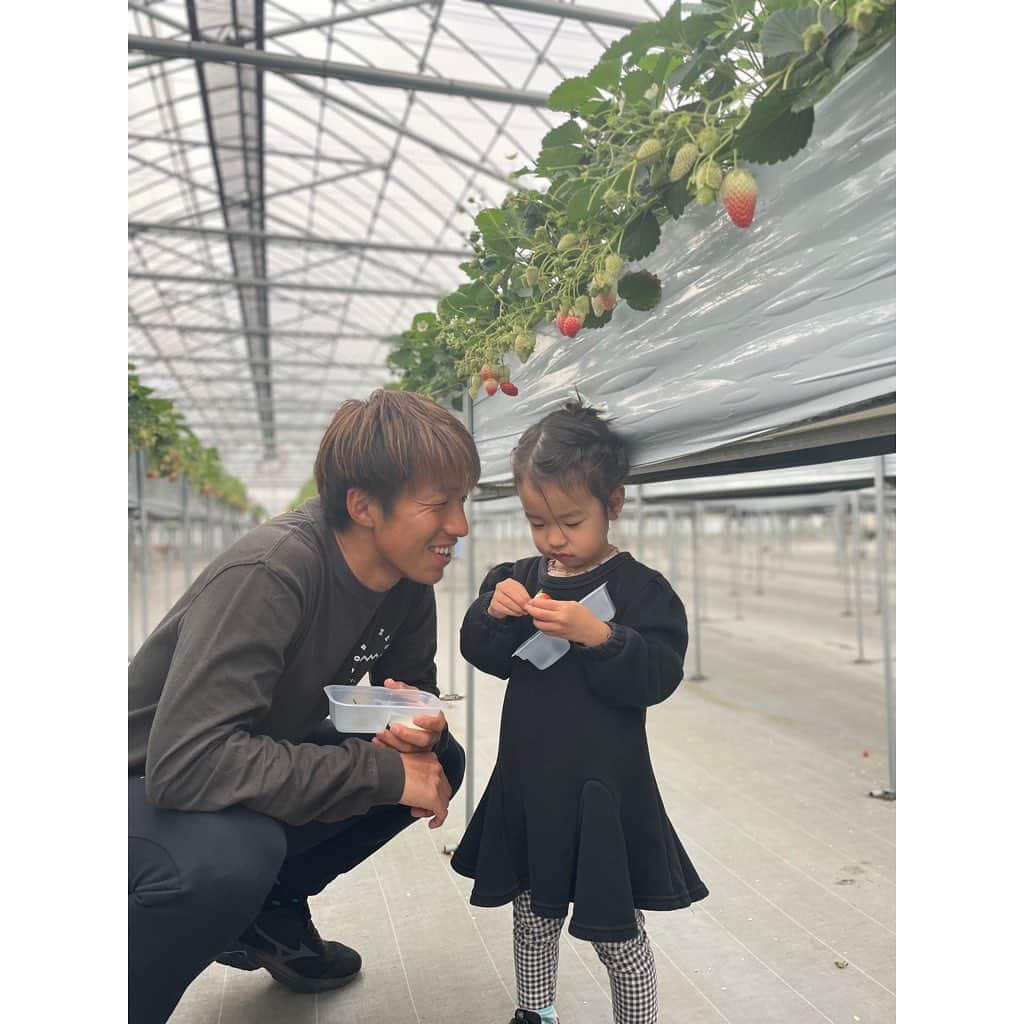 山田真以さんのインスタグラム写真 - (山田真以Instagram)「#時差投稿 久しぶりに見た#小瀬スポーツ公園 のさくら🌸 とっても綺麗だった🫧 紙芝居してるおじさんがいて、 子供たちが集まって楽しそうに見ていたりして、私も娘も一緒に楽しませてもらいました☺️  娘が大好きないちご狩りにも行けた🍓💗 @ichigozanmai   次はいつ山梨に帰ろうか？と、離れても大好きな場所🗻 #山梨#甲府#さくら#桜#🌸#いちござんまい#いちご狩り#🍓」4月28日 0時00分 - maaai.yamada