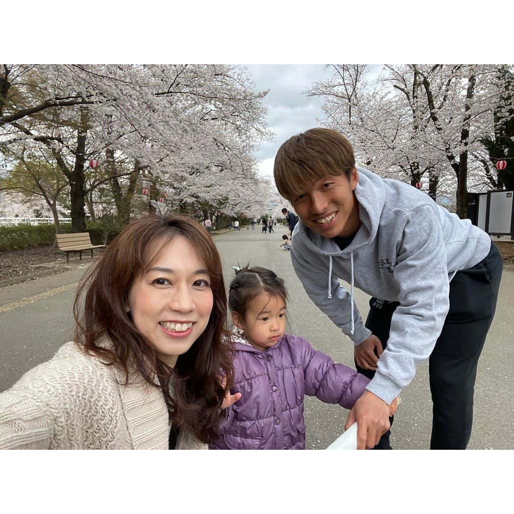 山田真以さんのインスタグラム写真 - (山田真以Instagram)「#時差投稿 久しぶりに見た#小瀬スポーツ公園 のさくら🌸 とっても綺麗だった🫧 紙芝居してるおじさんがいて、 子供たちが集まって楽しそうに見ていたりして、私も娘も一緒に楽しませてもらいました☺️  娘が大好きないちご狩りにも行けた🍓💗 @ichigozanmai   次はいつ山梨に帰ろうか？と、離れても大好きな場所🗻 #山梨#甲府#さくら#桜#🌸#いちござんまい#いちご狩り#🍓」4月28日 0時00分 - maaai.yamada