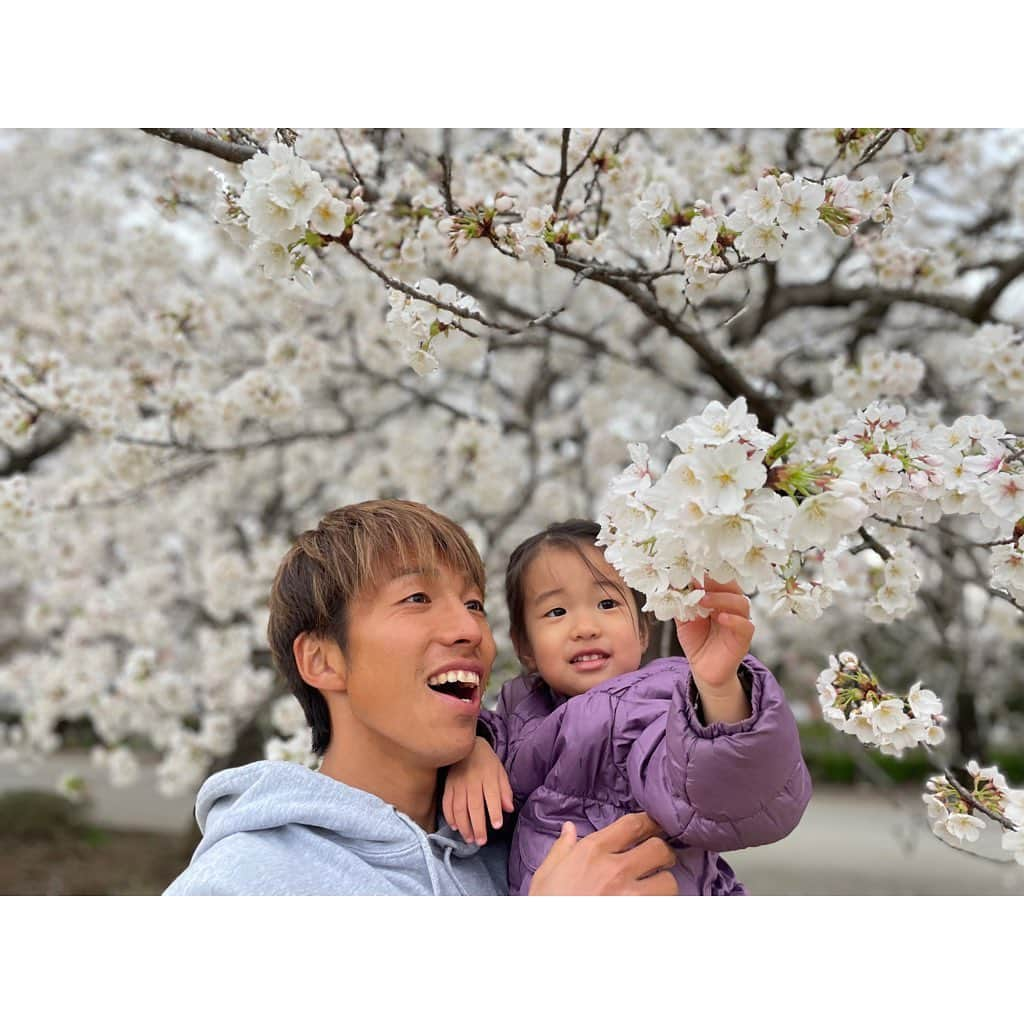 山田真以のインスタグラム：「#時差投稿 久しぶりに見た#小瀬スポーツ公園 のさくら🌸 とっても綺麗だった🫧 紙芝居してるおじさんがいて、 子供たちが集まって楽しそうに見ていたりして、私も娘も一緒に楽しませてもらいました☺️  娘が大好きないちご狩りにも行けた🍓💗 @ichigozanmai   次はいつ山梨に帰ろうか？と、離れても大好きな場所🗻 #山梨#甲府#さくら#桜#🌸#いちござんまい#いちご狩り#🍓」